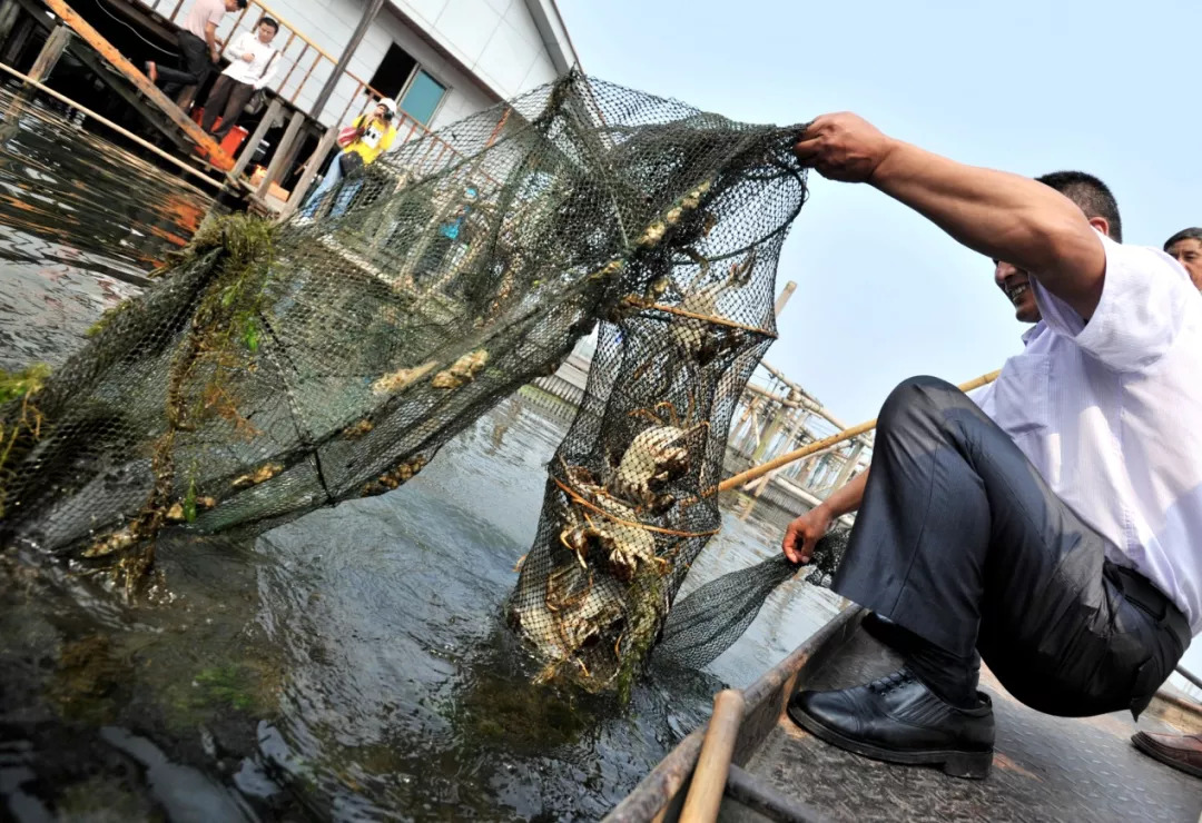 风味人间开播同款太湖大闸蟹同款秃黄油馋哭了