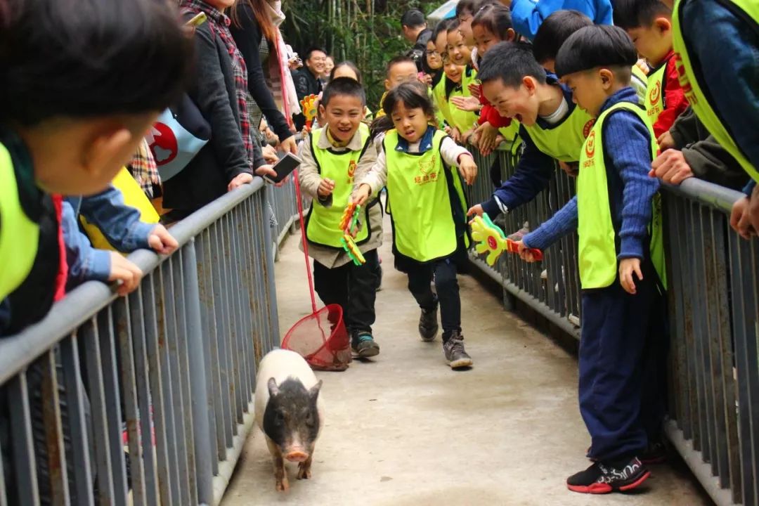 赛跑猜成语_与时间赛跑图片(3)