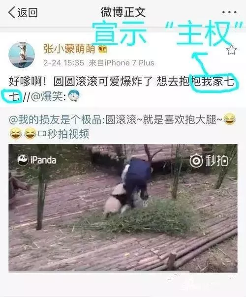 雪梨混成名媛，張予曦進軍演藝圈，豆得兒窮困潦倒，開扒王思聰後宮現狀… 娛樂 第67張