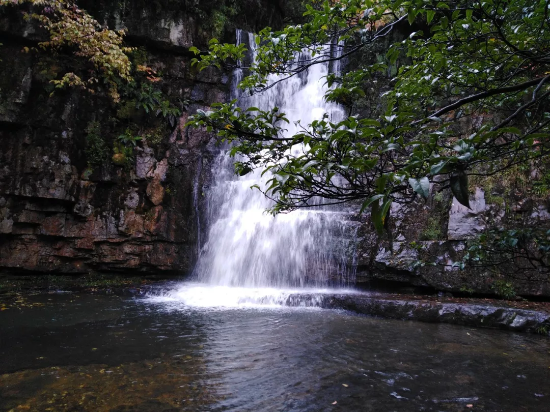 热爱旅游的筠连人注意了,现在是时候和"小草坝"来一场