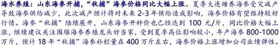 大連海參大部分被「熱死了」，海參價格創 10 年新高 商業 第5張