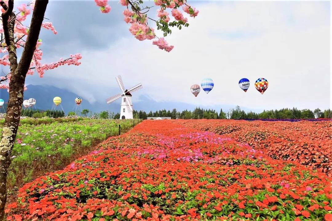 雪山花海乐园