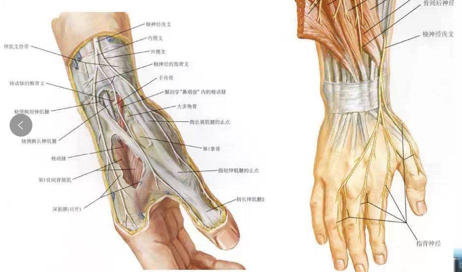 常使用电脑易患腱鞘炎?诊断,治疗方法在这里