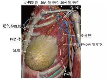 【麻谈快播no.2】超声引导下胸壁神经阻滞用于高龄病人腋窝肿物切除术