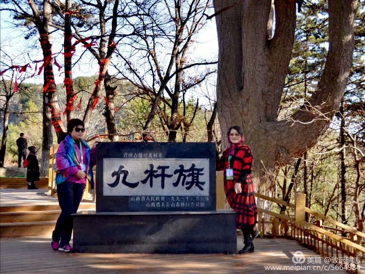 吉尼斯世界纪录华夏油松之王～九杆旗自驾车队走进灵空山景区自驾