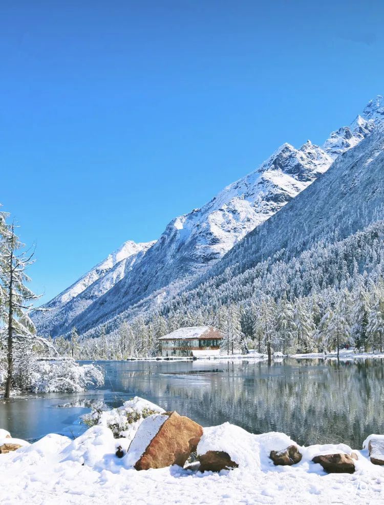 抖音爆火 秋景与雪景的混搭款=