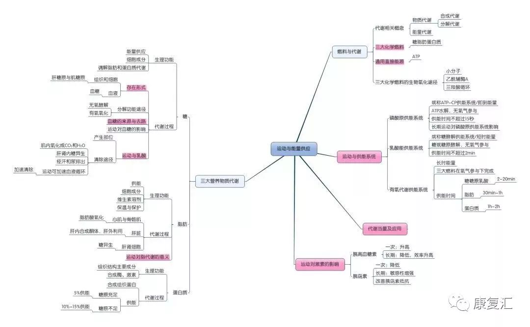 【一文读懂】康复基础知识思维导图大汇总,轻松好记!