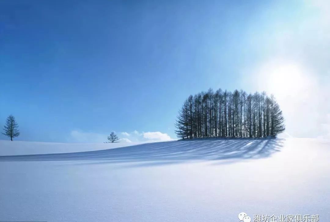 【立冬】 昨夜清霜冷絮,纷纷红叶满阶头