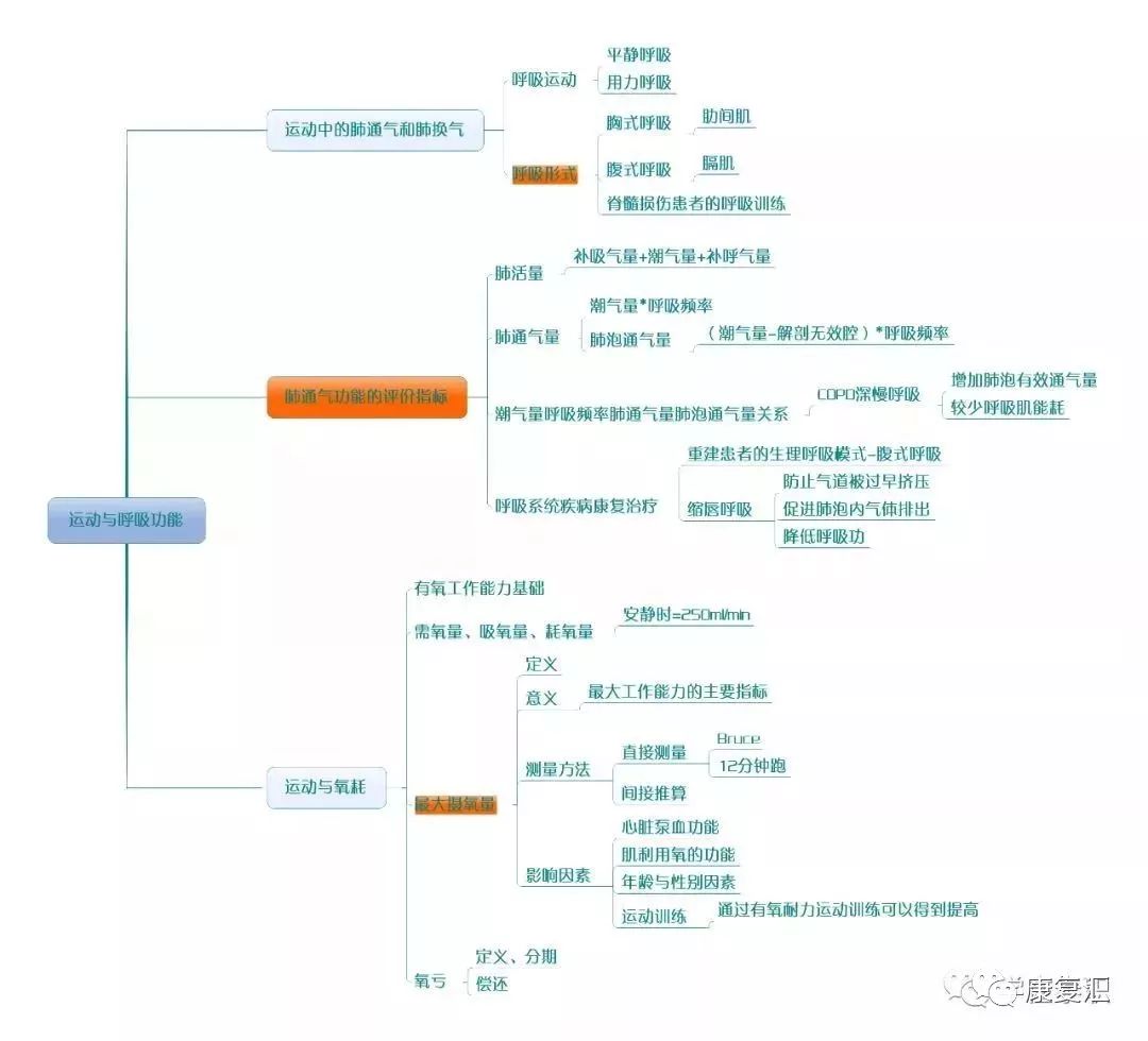 18.运动与能量供应