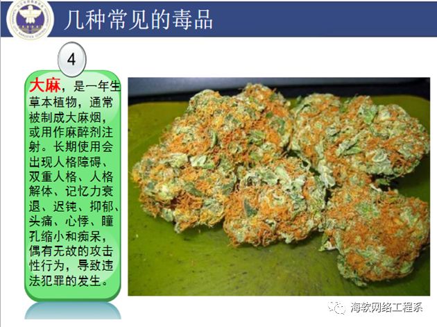 毒品的危害以及预防