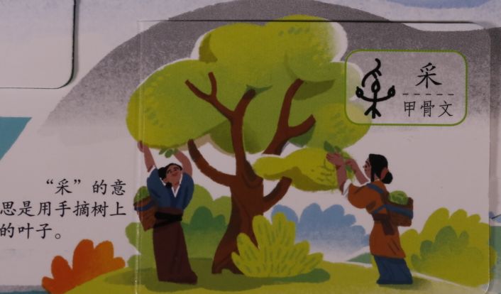 里外分别藏有一个会意字,我们可以在这里复习一下"采"与"休"这两个字