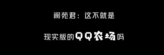 無彈幕，不瘋魔丨逐閬 生活 第32張