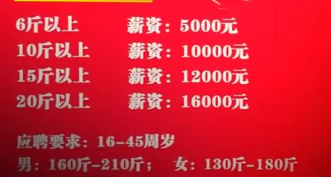 长沙招聘网最新招聘_长沙招聘会 最新长沙招聘会 2019年长沙招聘会 招聘会网(3)