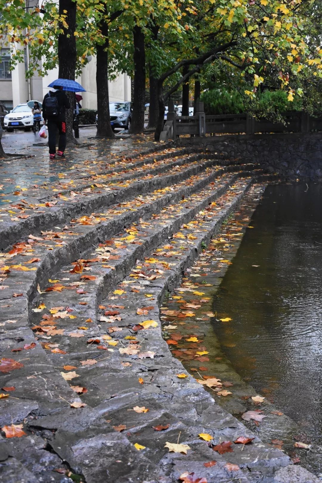 镜头| 一场秋雨一场寒