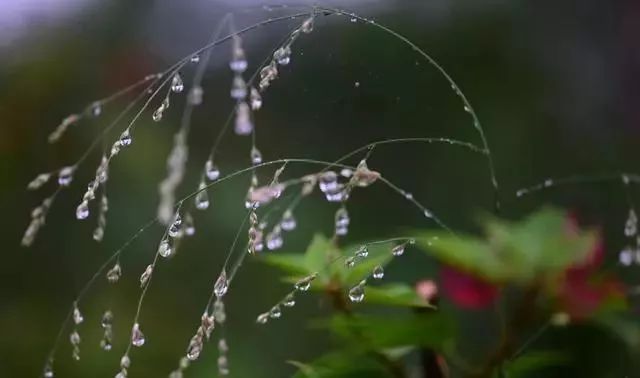 打开了酒铺的门 扑面酒香的如故认真 忙碌时累了 与雨天 可否醉到黄昏