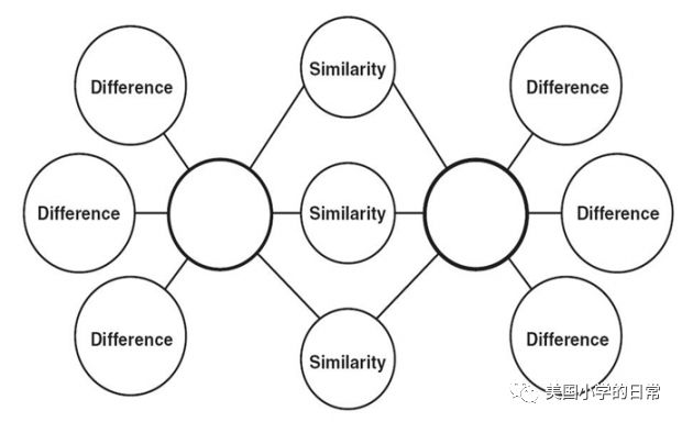 双泡图 double bubble map