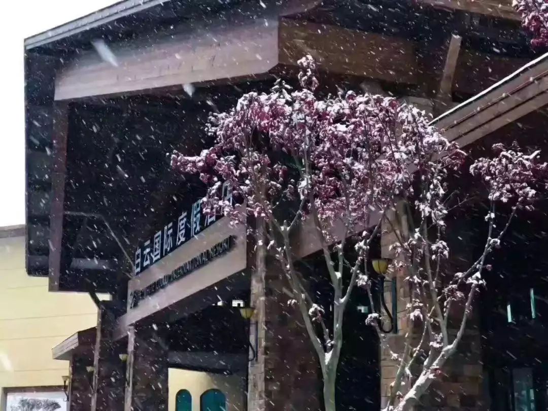 雪漫什么成语