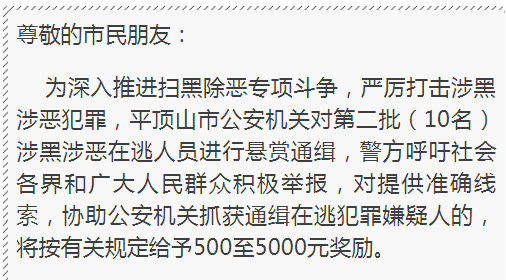 扫黑除恶进行时平顶山警方发布第二批扫黑除恶通缉令