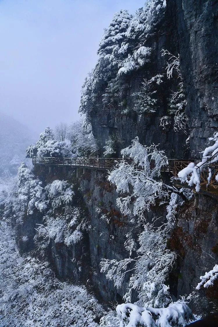 小伙伴们!巴山大峡谷也下雪啦!