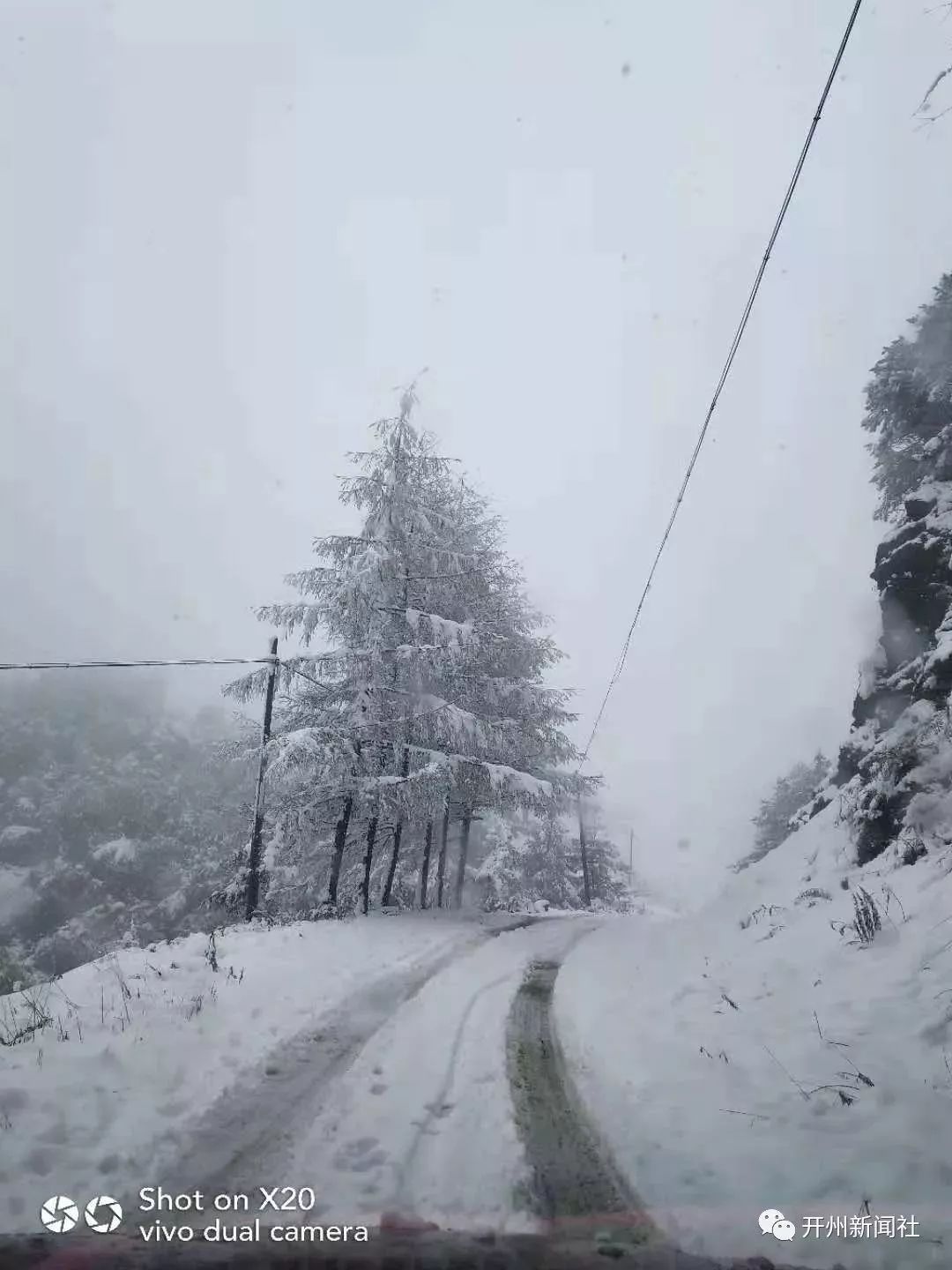 羡慕嫉妒恨重庆这些地方都下雪了