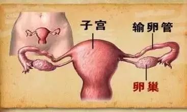 北大外科專家羅成華：警惕這幾種胃癌的常見症狀 健康 第1張