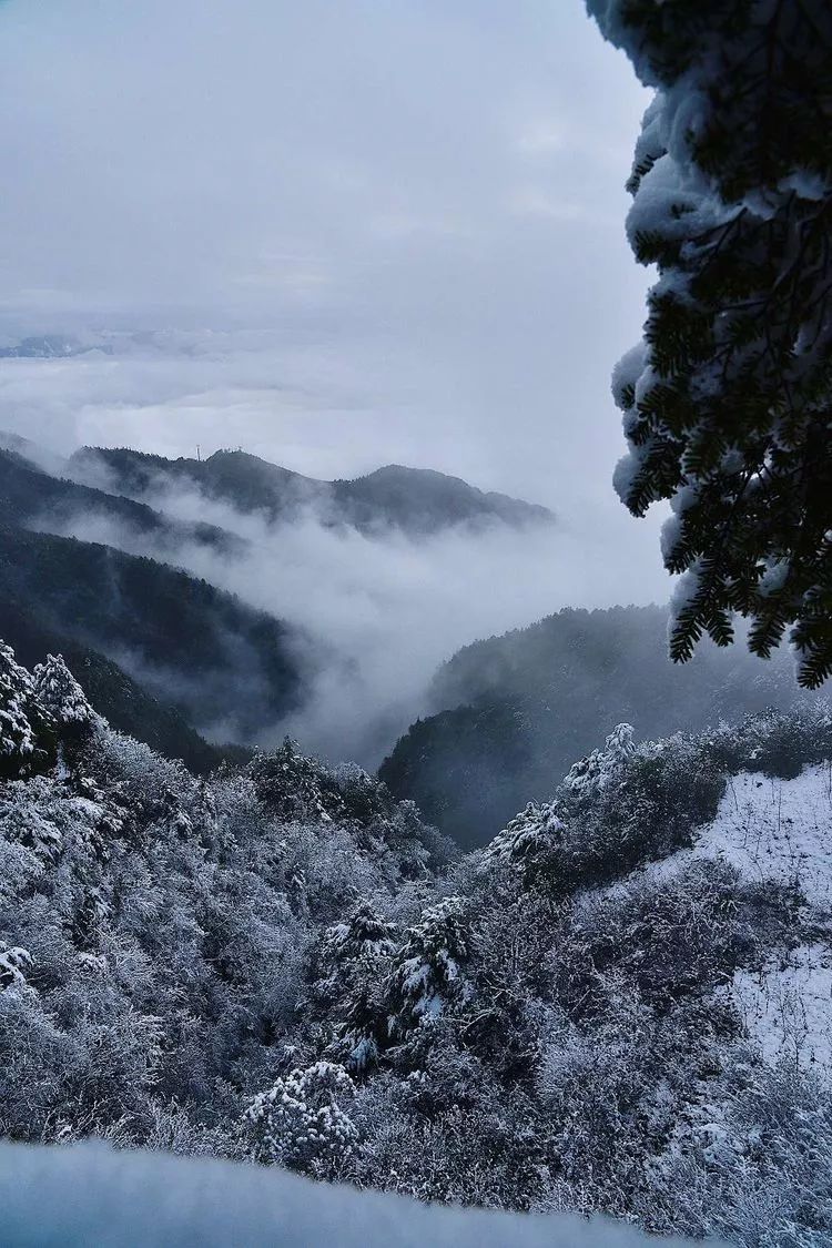 继八台山下雪后, 巴山大峡谷也下雪啦! 小伙伴们! 看雪大队约起来!