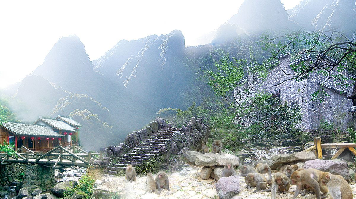 地貌多姿,山川秀美 有天脊龙门,药王山,盛世莲花,楼山后村 等多个风景