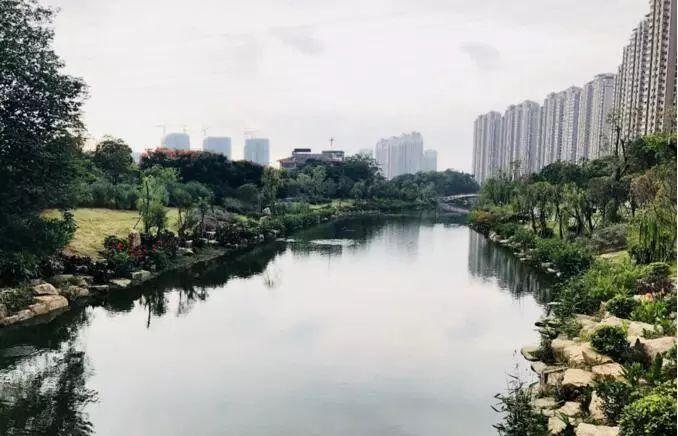 香积烟雨流花叠影福州流花溪整治后简直美醉了还有这些河道也正在悄然