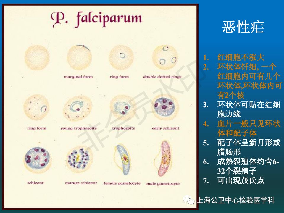 绝对干货分享—《疟原虫检测技术》