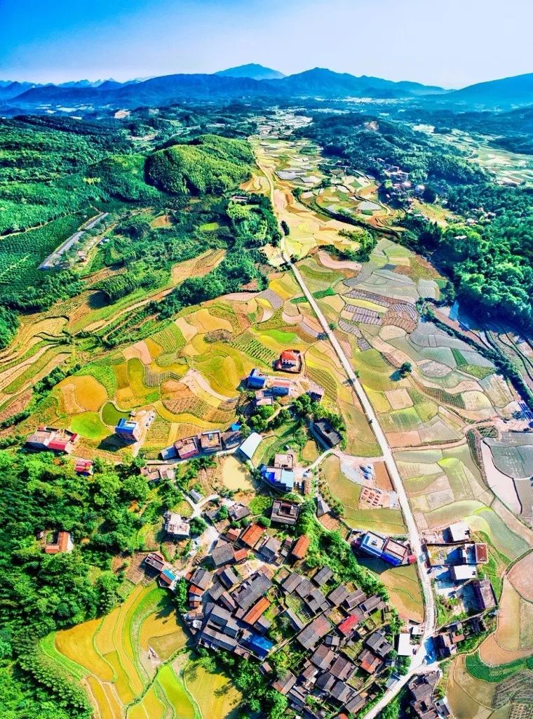 灵川县人口多少_灵川县金代江