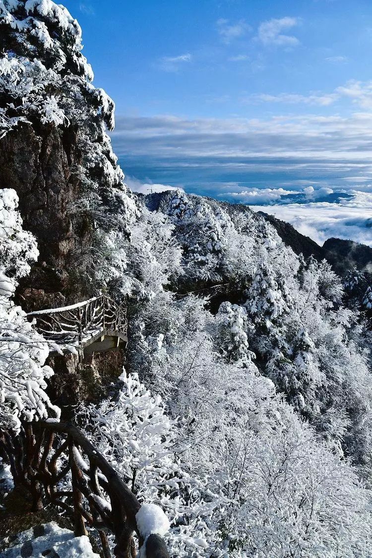 继八台山下雪后, 巴山大峡谷也下雪啦! 小伙伴们! 看雪大队约起来!