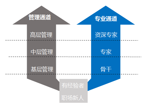 "run出新世界",为梦想助力!