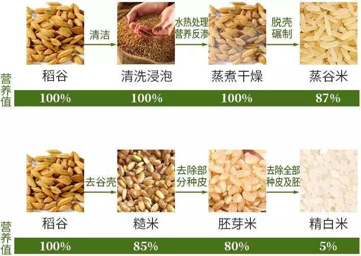 被营养界称为"补品"的这种大米,你有吃过吗?