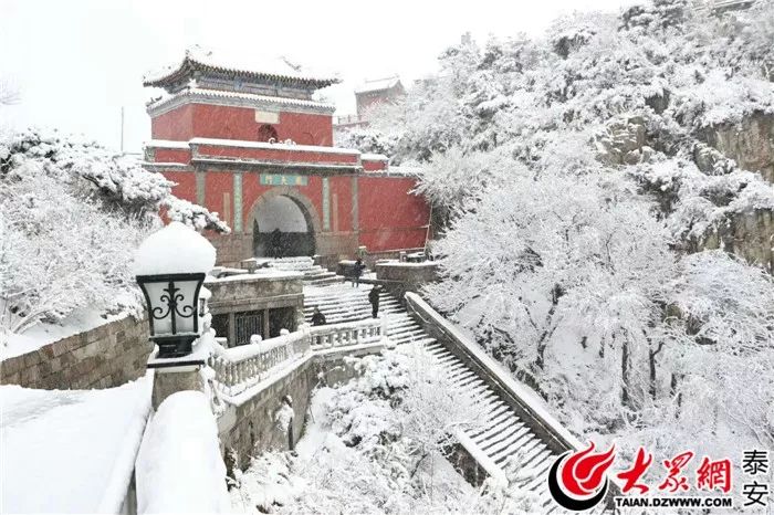 在山东,有一场傲世全省的大雪,叫冰封泰山!