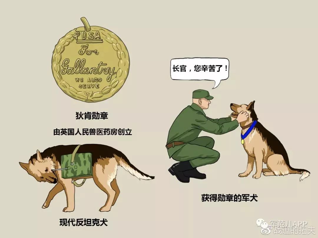 军犬孤独卡通 军犬孤独卡通图片分享