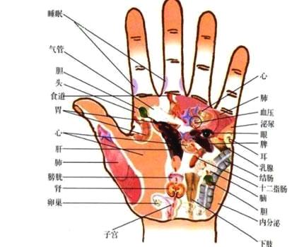 心其实是五脏六腑的关键,手巧心则灵,手的好坏关键体现你的心脏