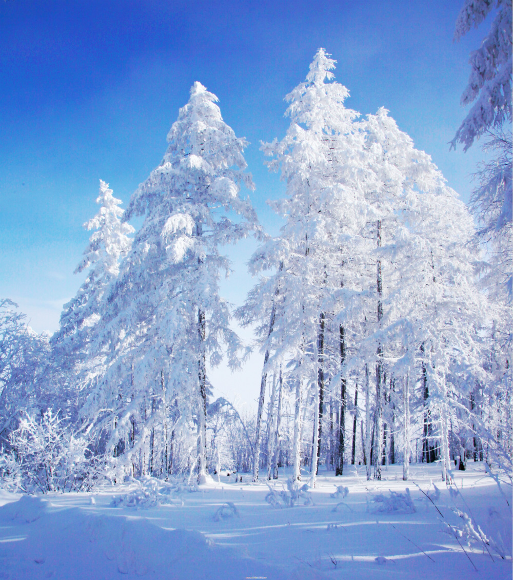 冰雪那达慕冬天的蒙古族游戏比夏季草原更热闹