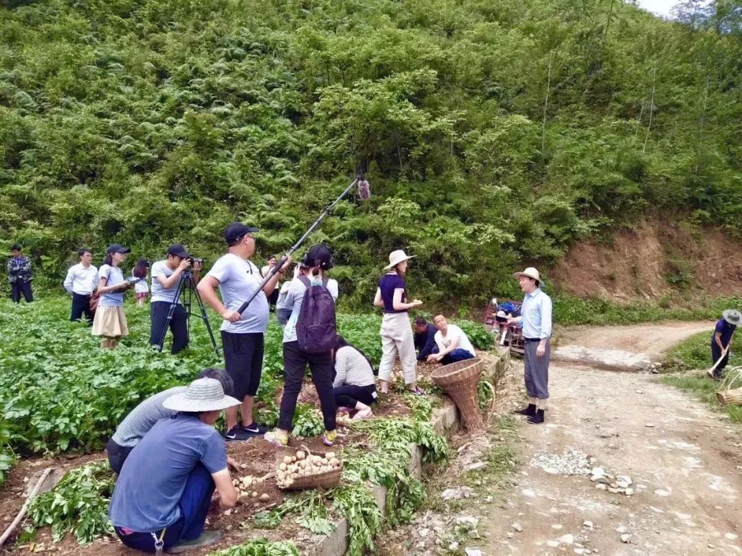 讓土豆獨占C位的電影，你看過嗎？新北就拍瞭一部~