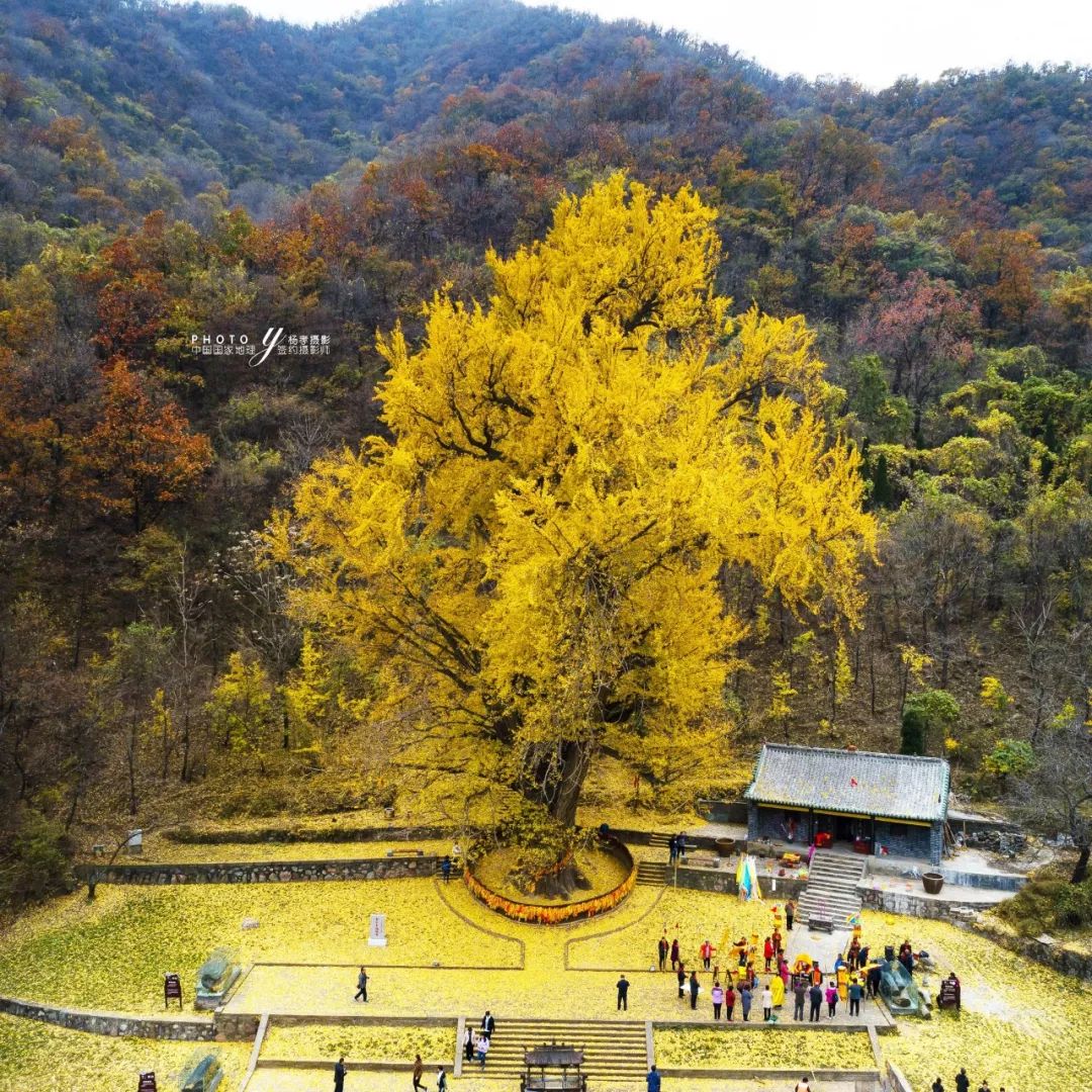 门票、索道、交通全免！诚邀全国现役军人畅游王屋山景区_旅游_资讯_河南商报网