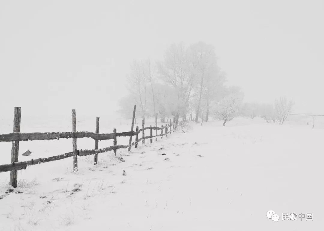 《数九寒天下大雪》