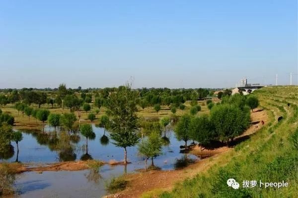 前无古人!因为这事儿,源于靖边海则滩毛乌素村的大地名可能要改了