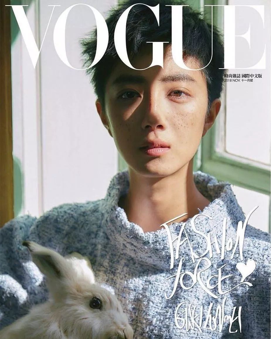 全球Vogue十一月刊封面盤點，中國版應該選擇停刊！ 時尚 第22張