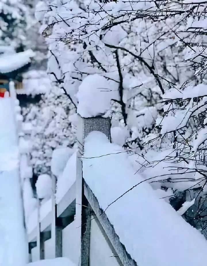 其实大多数南方人 一生中都没有一条秋裤啊 北方已经大雪纷飞 则在