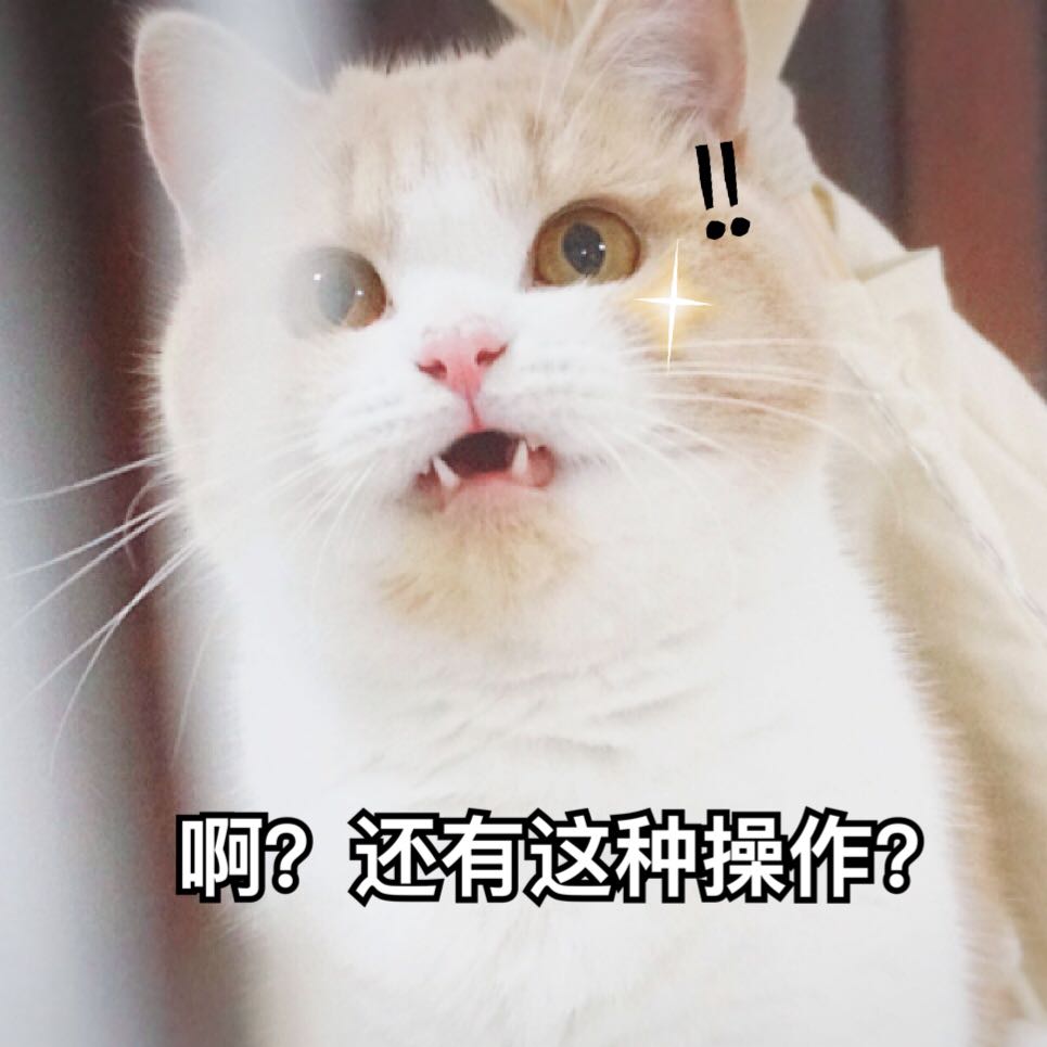 猫咪萌萌表情包:你的小可爱小北鼻正在生气