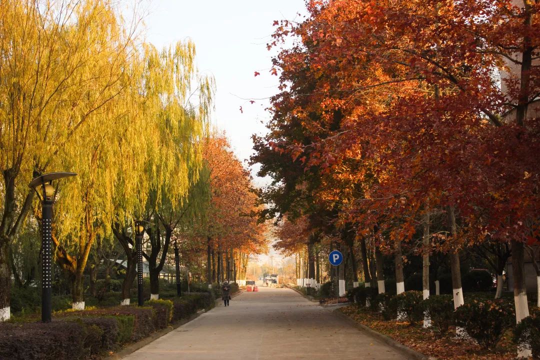 丽水学院,我想和你从春走到冬