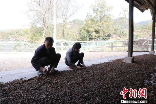 辰溪有多少人口_辰溪二中图片(3)