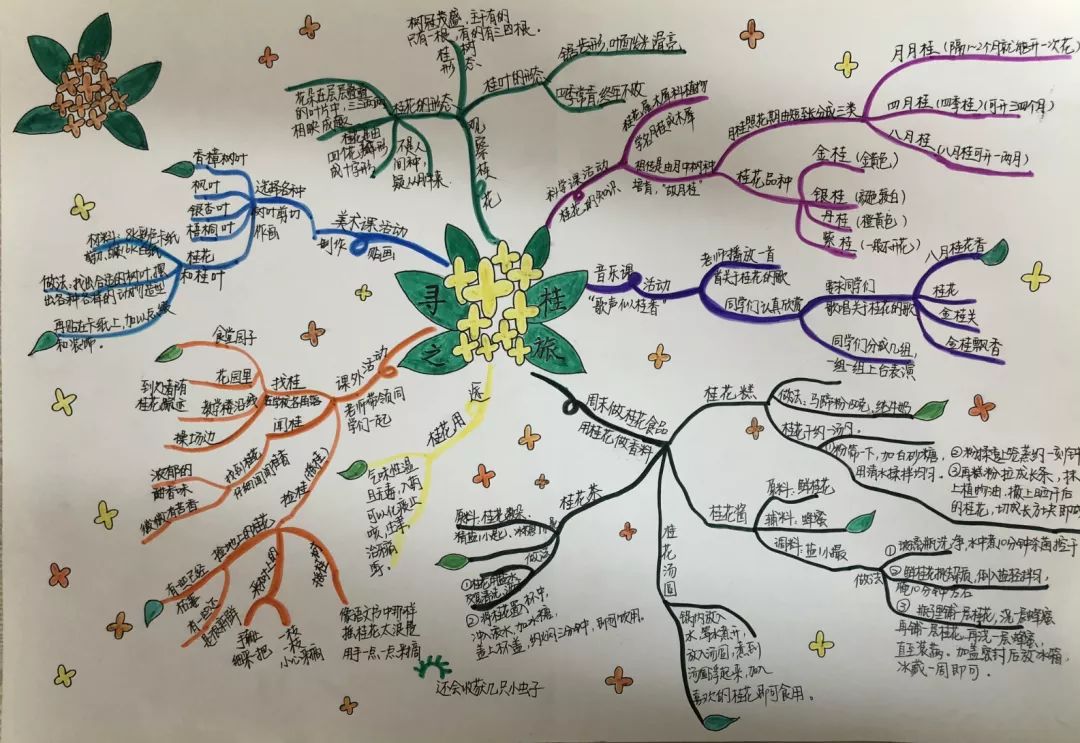 一小故事给孩子心中留住永远的花香长兴一小桂花约主题式研究性学习