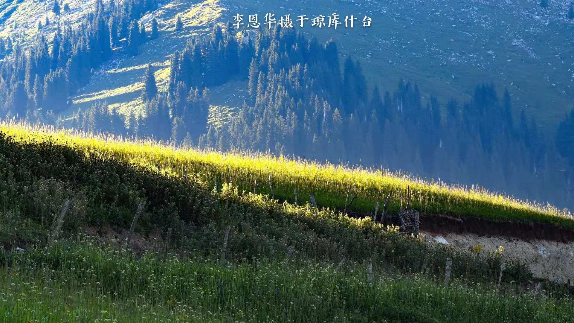 房車遊中國：天山腳下的世外桃源，新疆的歷史古村瓊庫什台 旅行 第5張