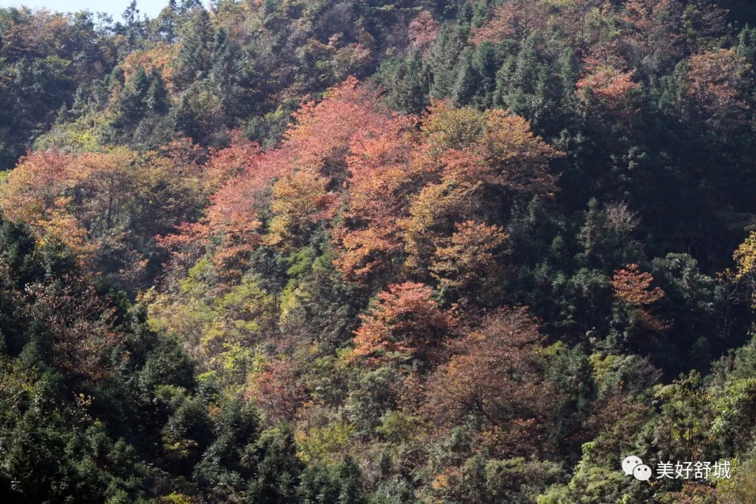 1/ 12 舒城五显镇石关风景区,秋色,真的不要太美!