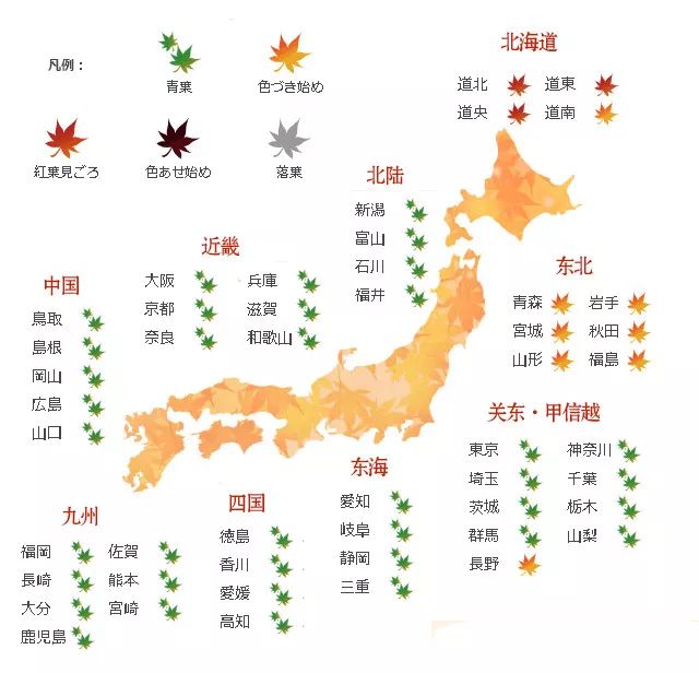 秋天日本旅游去哪玩秋季日本赏红枫叶旅行攻略